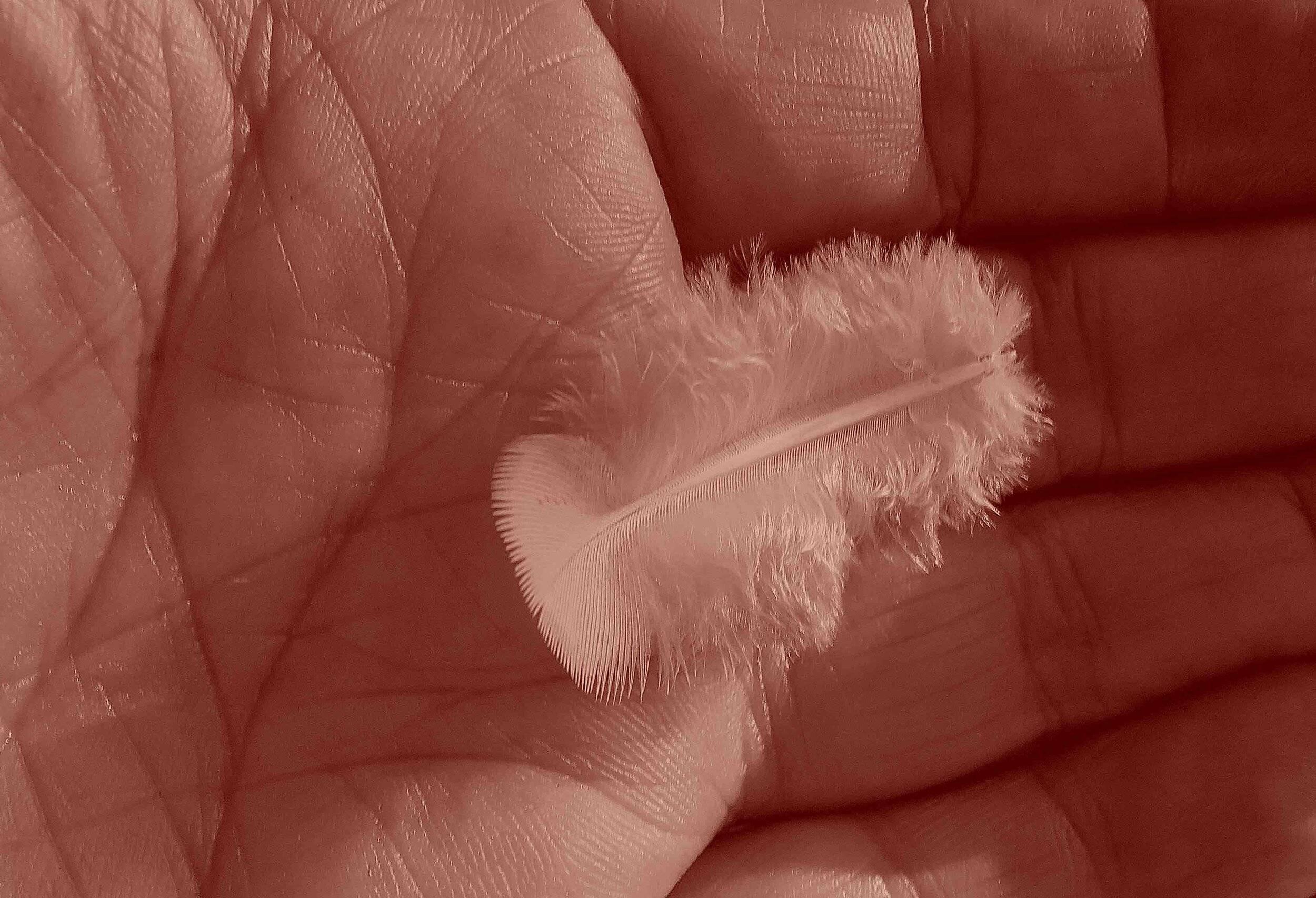 IMG_0261.jpg Guy Grandjean