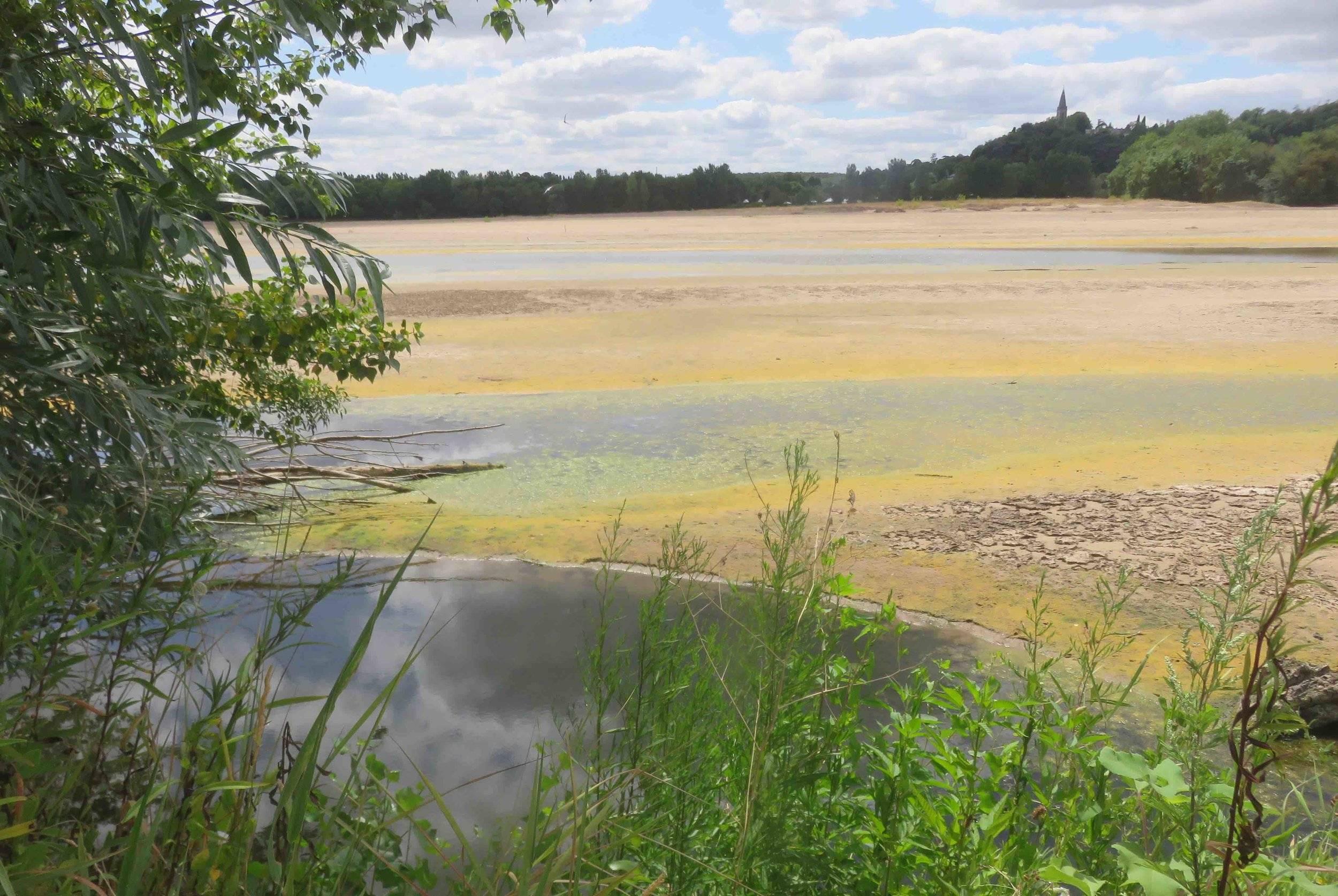 L’eau de la Loire a atteint cette année les trente degrés par endroits