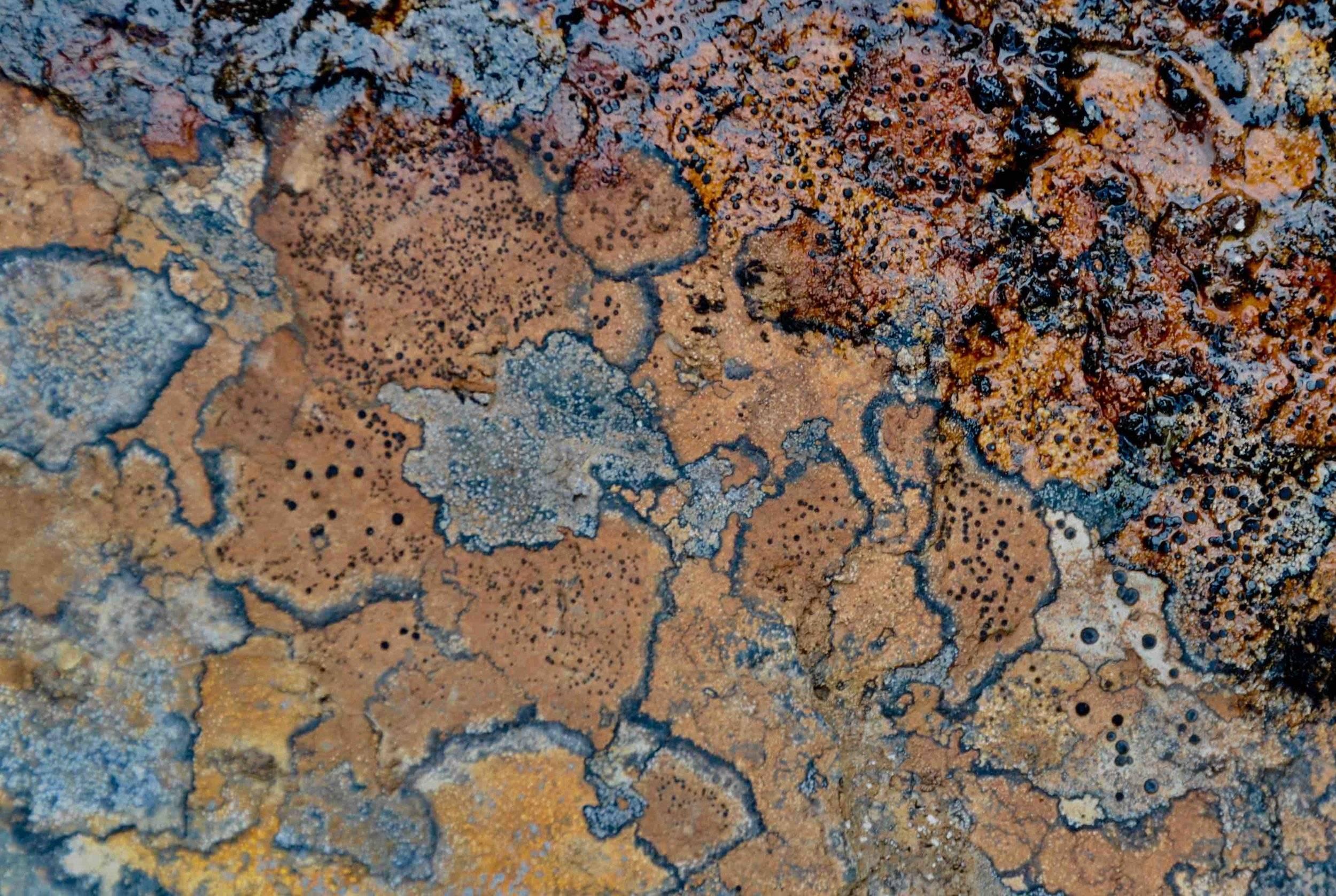 DSC_3632 (3).jpg Guy Grandjean