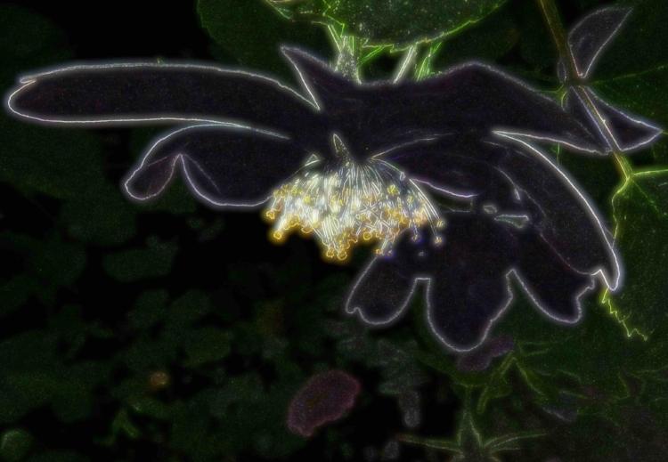 IMG_0023.jpg Rage Guy Grandjean