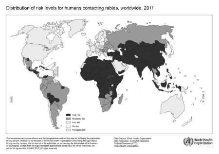 téléchargement (17) 9.png